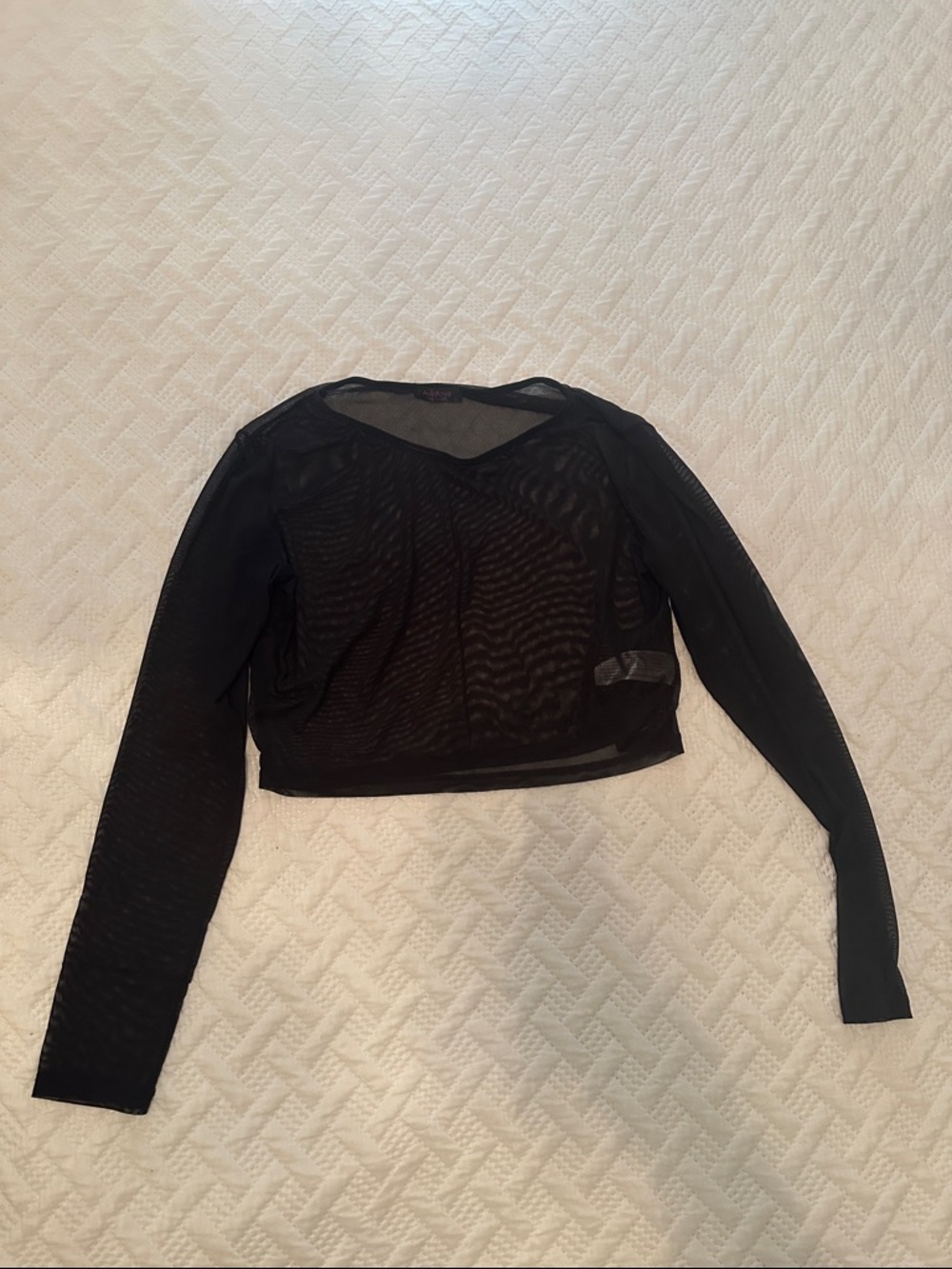 Black Sheer Mesh Rave Long-Sleeve Crop Top